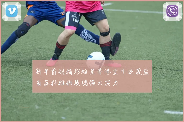 新年首战精彩纷呈香港金牛逆袭盐南苏科雄狮展现强大实力