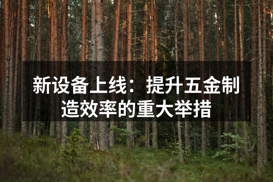 新设备正式上线,助力生产效率提升